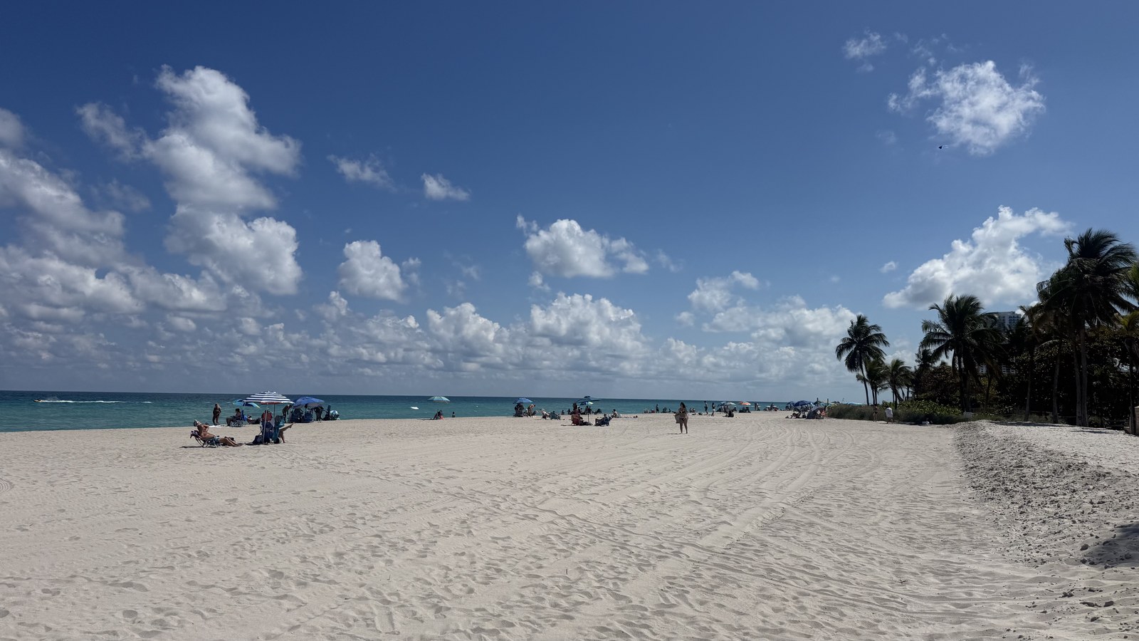 Hollywood Beach sand palm trees and beachgoers South Florida Atlantic coast near Broadwalk